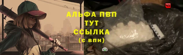 прущий лед Вяземский