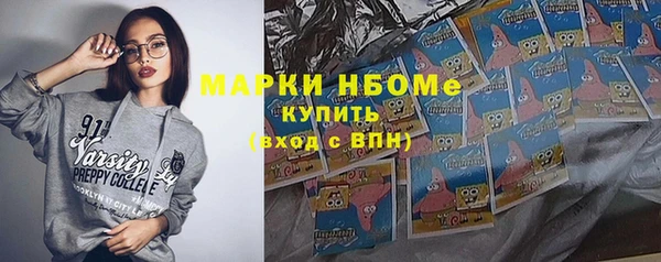 прущий лед Вяземский