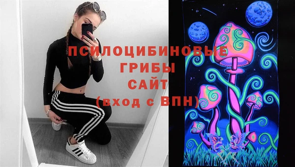 прущий лед Вяземский