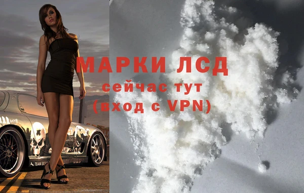 прущий лед Вяземский