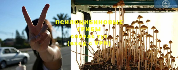 прущий лед Вяземский