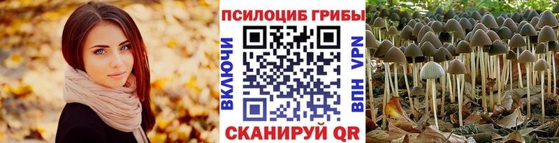 Купить  Ревда  Галлюциногенные грибы Magic Shrooms 